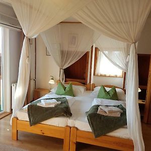 Apartament z 1 sypialnią